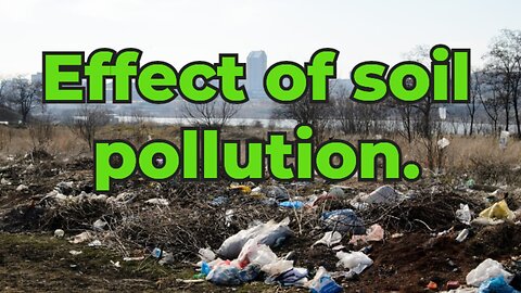 Soil Pollution: Causes, Effects, and Solutions | A Comprehensive Guide. #soilpollution #soil