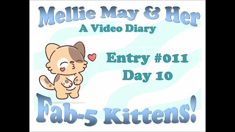 Video Diary Entry 011: Getting Down To Their Level - Day 10