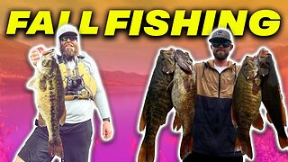 Let's Talk Fall Bass Fishing w/ Brennan Chapman of Do-It Molds