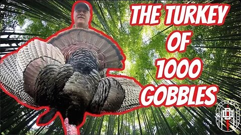 The Turkey Hunt of 1000 Gobbles - Public Land Turkey Hunt