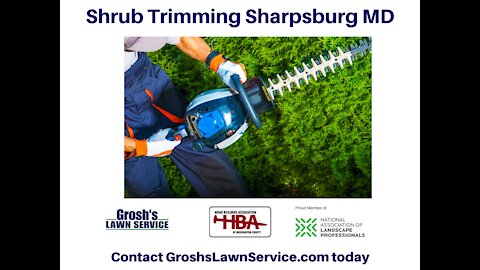Shrub Trimming Sharpsburg MD Landscaping Contractor