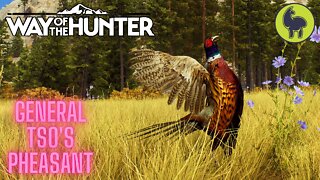 General Tso's Pheasant | Way of the Hunter (PS5 4K)