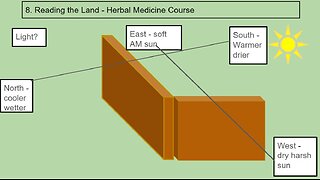 Personal Alkemy Herbal Medicine Course Class 8 - Reading The Land (and our body/land)