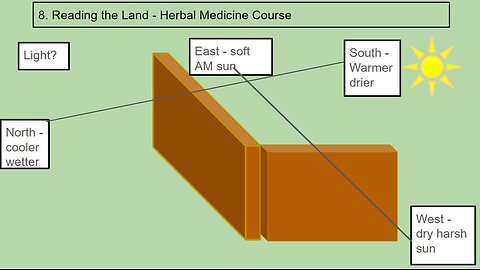 Personal Alkemy Herbal Medicine Course Class 8 - Reading The Land (and our body/land)