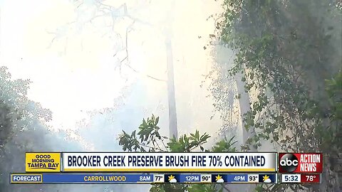 Brooker Creek Preserve closed as crews fight brush fire