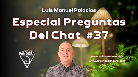 Especial Preguntas Del Chat #37 con Luis Manuel Palacios Gutiérrez