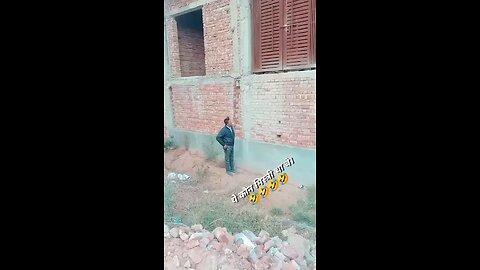 Funny Videos