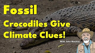 Fossil Crocodiles Give Climate Clues