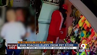 Man steals puppy from Mount Healthy pet store