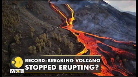 La Palma | Spain's Cumbre Vieja volcano has gone silent | WION Climate Tracker | Latest English News