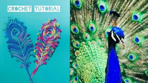 Irish Crochet Lace Style Peacock Feather Motif! (Elegant! Beautiful! Easy to Follow Instructions!!!)
