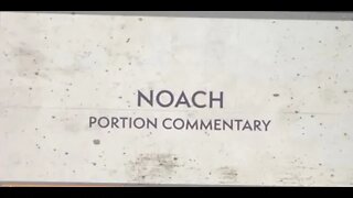 Portion Noach