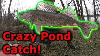 Big Farm Pond Walleye [Spring Fishing]