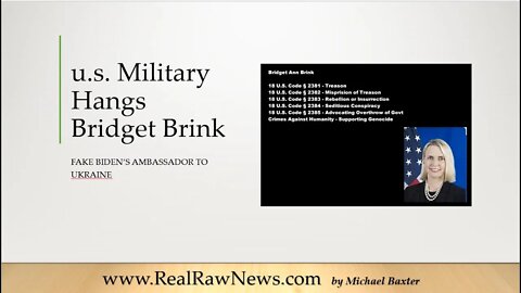 us Military Hangs Ambassador Bridget Brink at GITMO