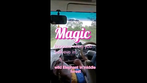 Wild Elephant Crashes vehicle|Travel vlog|scared 😳|Elephant Lovers#shorts #trending#viral USAvlog