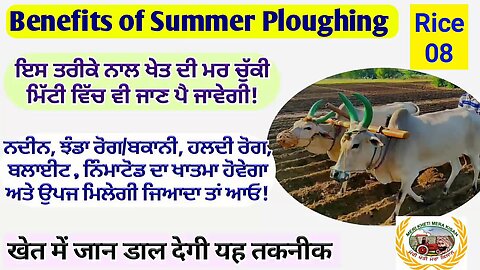Benefits of Summer Ploughing! ਸਮਾਂ ਆ ਗਿਆ ਖੇਤ ਨੂੰ ਰੋਗ ਮੁਕਤ, ਕੀਟ ਮੁਕਤ ਨਦੀਨ ਮੁਕਤ ਕਰੀਏ