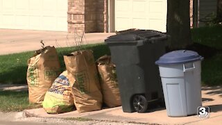 Council questions if mayor's choice can handle recycling contract