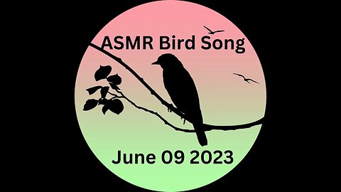 ASMR morning songbirds this was filmed June 09 2023 at 5 am | Nagasaki Japan | Sasebo | The J-Vlog