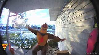 Donkey Kong Not Paying Attention | Doorbell Camera Video