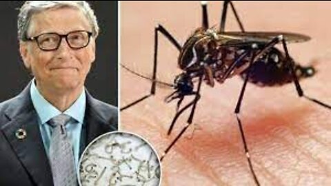 Bill Gates’ Colombian ‘Mosquito Factory’ Breeding 30 Million Bacteria-Infected Mosquitos Per Week