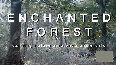 Enchanted Forest | Celestial Relaxation | Calming Nature Ambience And Music | For 4 Hours