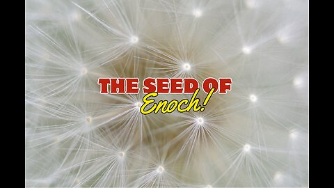 The Seed of Enoch