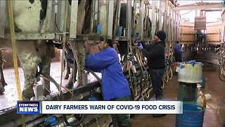 Dairy farmers warn of covid-19 food crisis