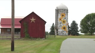 Sunflower mural decorates old silo in Silver Springs