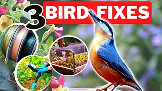 Keep Your Garden BIRD-FREE Forever