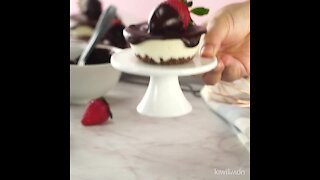Mini Cheesecakes Covered with Chocolate