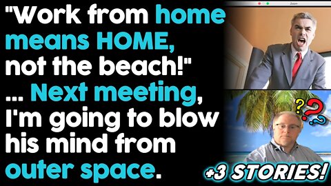 r/Bestof Boss Freaks Out After Employees Use Beach Backgrounds On Zoom... | Storytime Reddit Stories