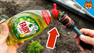 Dump Dish Soap into the Garden Hose and WATCH WHAT HAPPENS💥(Genius Trick)🤯