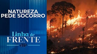 Desmatamento na Amazônia triplica no último mês de março I LINHA DE FRENTE