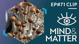 Chemistry of Magic Mushrooms