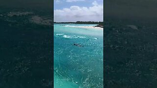 Washing Machine at Shroud Cay Bahamas