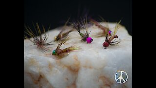 Tying a Brass Bead Head Nymph with burnt orange turkey biot