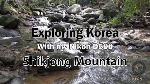 My Nikon Vlog: Butterflies, frogs and long exposures, exploring Korea with my Nikon D500