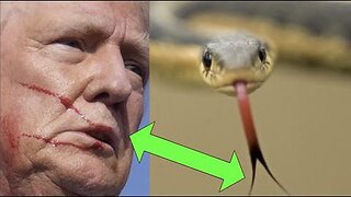 TRUMPS SERPENT TONGUE!!! "YOU KNEW I WAS A SNAKE BEFORE YOU TOOK ME IN!"