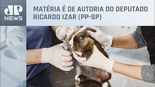 Senado aprova projeto de lei que proíbe testes em animais