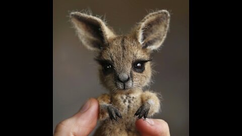 How cute is a baby kangaroo? #shorts #kangaroo #short