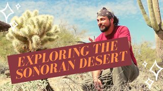 Exploring the Sonoran Desert | Amazing Rock Formations & Rare Plants