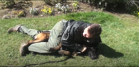 How to defend yourself against aggressive dogs. Self defense against dog attack