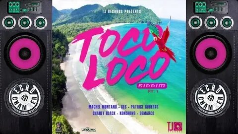 Toco Loco Riddim (ECM) Mix!