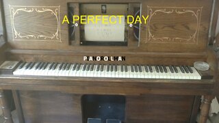 A PERFECT DAY