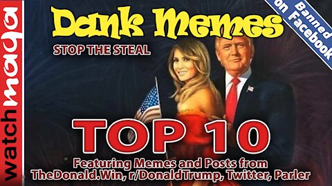 TOP 10 MEMES Stop the Steal