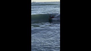 2 Year Old surf with Dad in Hawaii