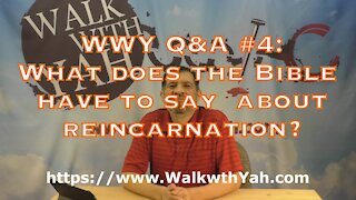 What does the Bible say about reincarnation? - WWY Q&A #4