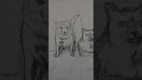 Dog & Cat Base Sketch #shorts #art #artist #draw #drawing #sketch #dog #cat #pets #base #artwork #go