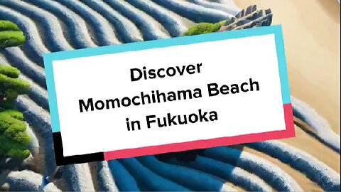 Discover Momochihama Beach in Fukuoka