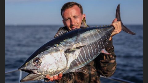 Bluefin tuna off the Coimbra wreck long island